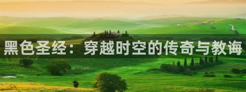 番薯动漫app