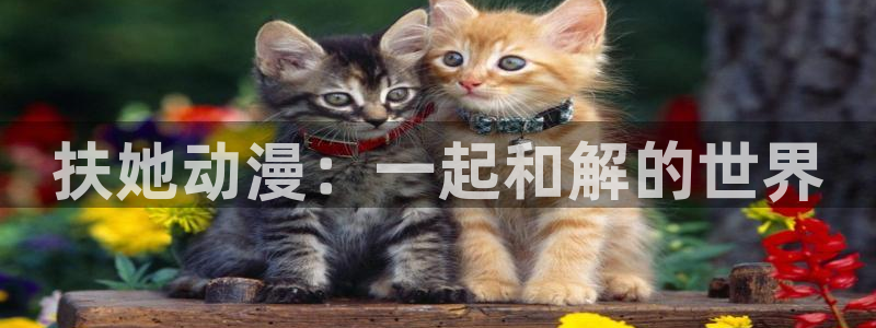 番薯动漫官网版