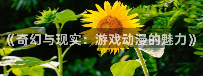 番薯动漫下载