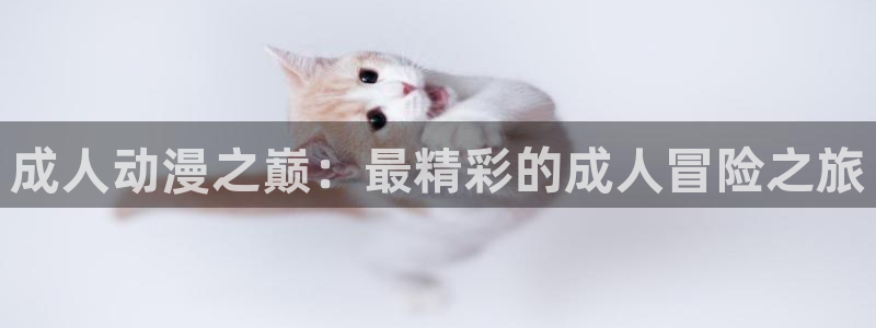 番薯动漫官网在线观看